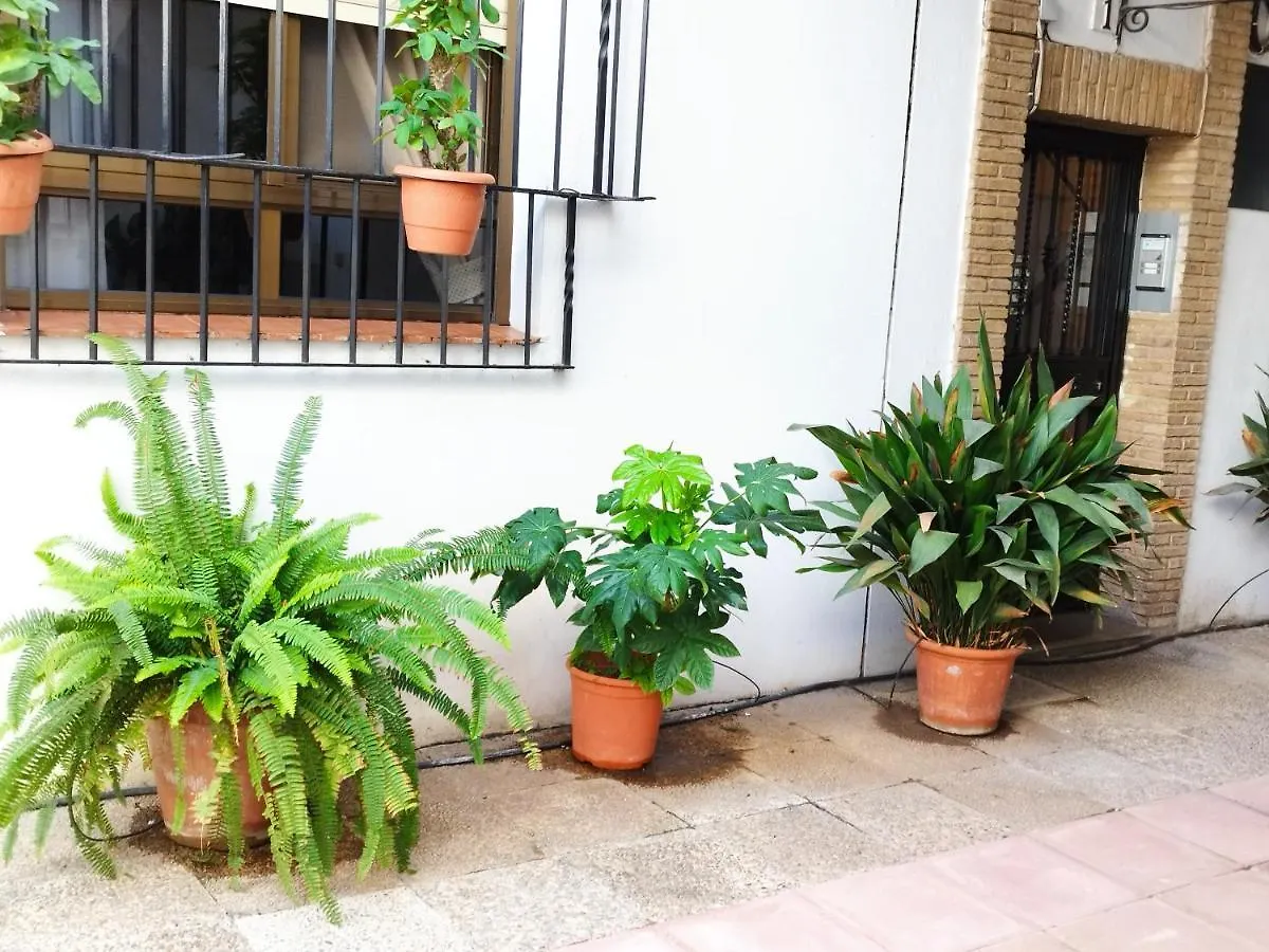 El Balcon De San Pablo Apartment Cordoba Spain